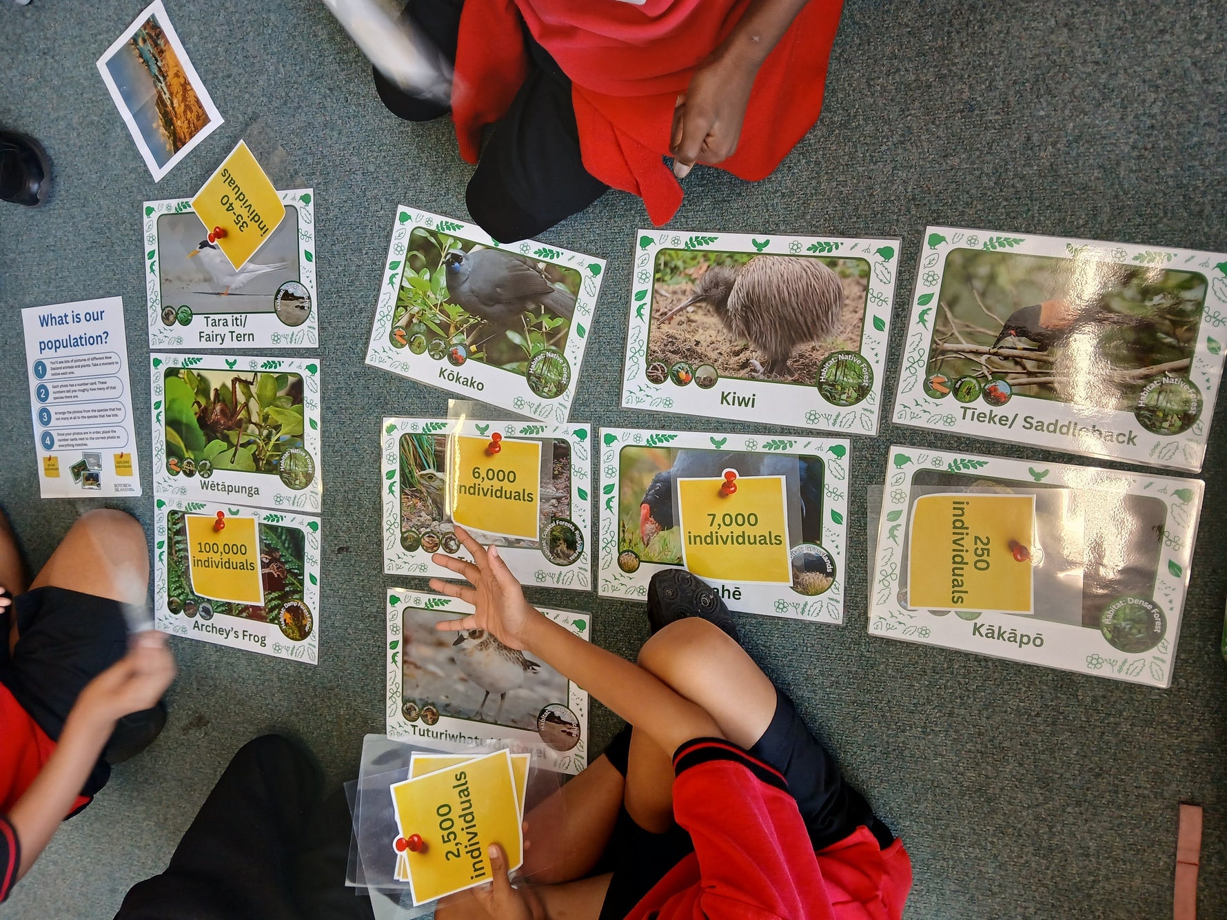 Conservation in the Classroom – Bringing Conservation Week to Life