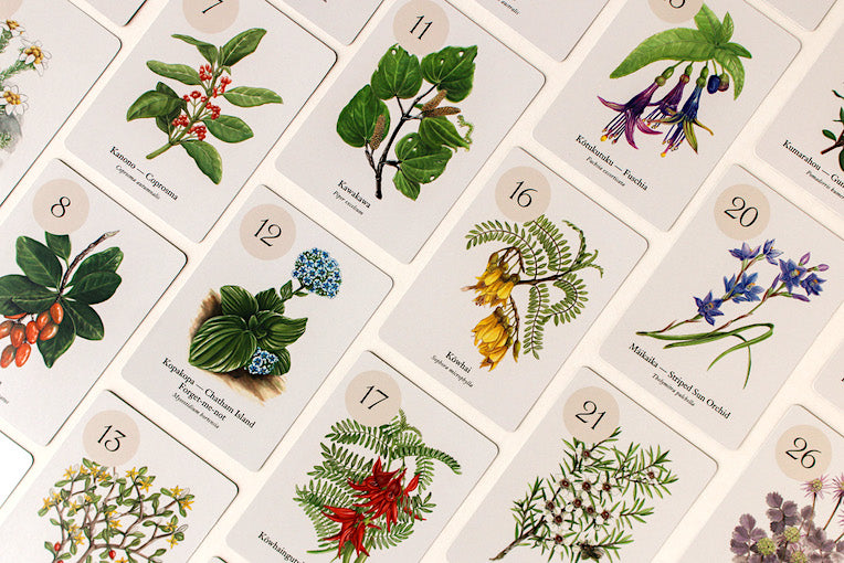 Botanical Collection, by Jo Connor