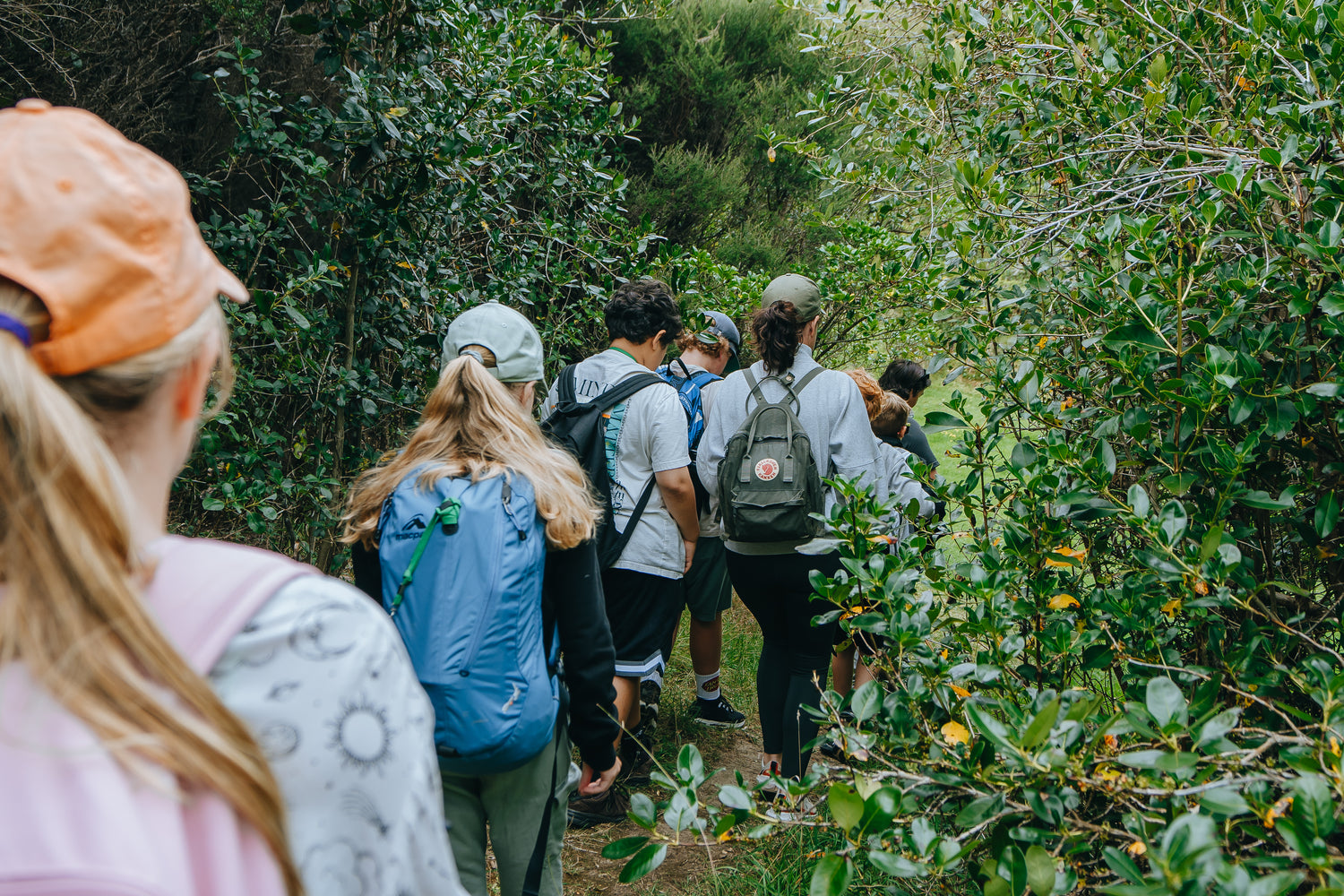 Guided Walk adult
