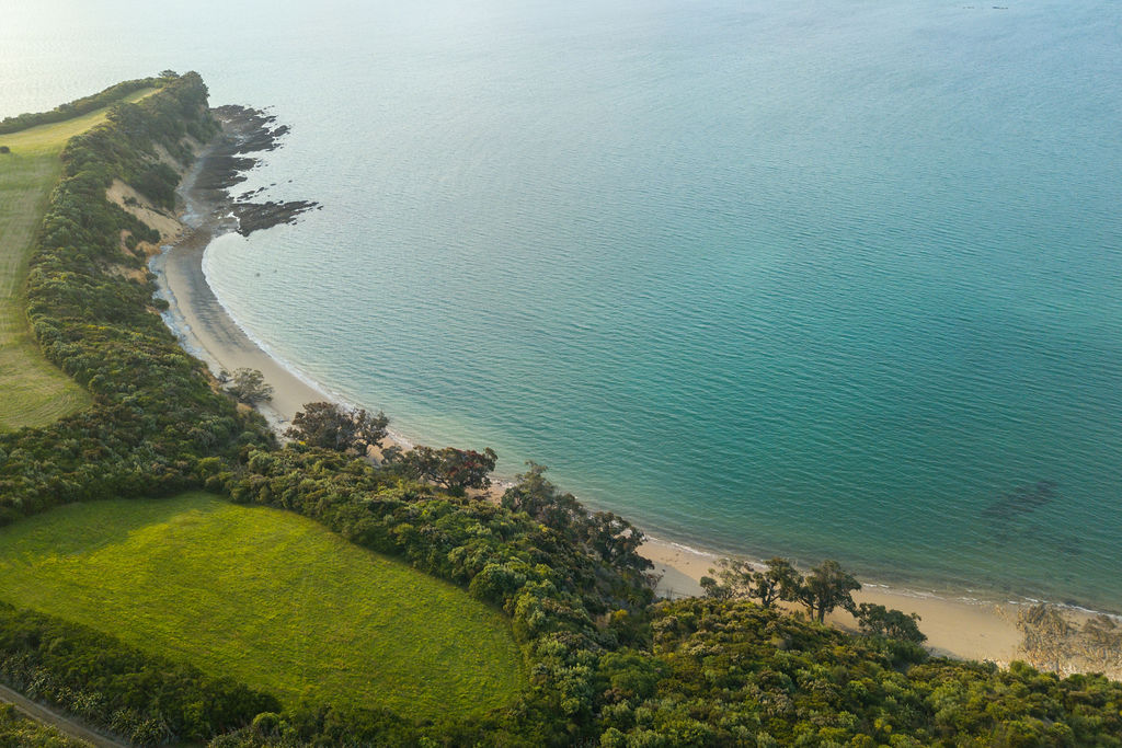 About Us – Rotoroa Island Trust