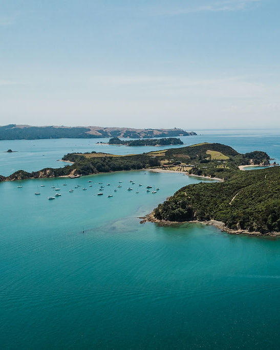 Rotoroa Island Annual Pass for Boaties