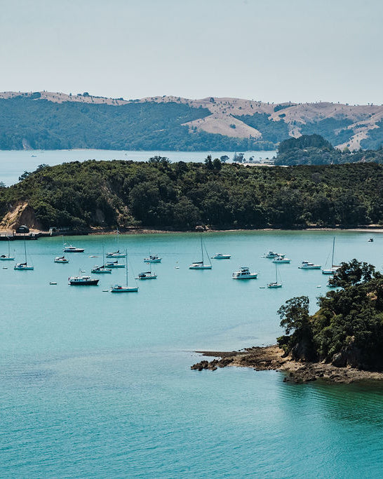 Rotoroa Island Day Pass for Boaties