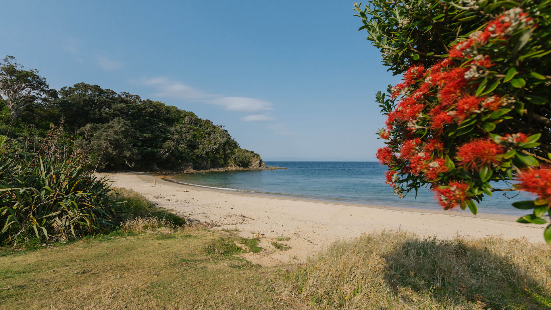 Ladies Bay, Rotoroa Island